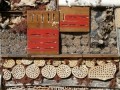 insect-hotel-efb-mainz-59963_1920.jpg